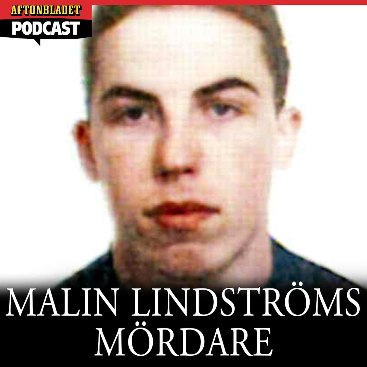 Malin Lindströms mördare artwork