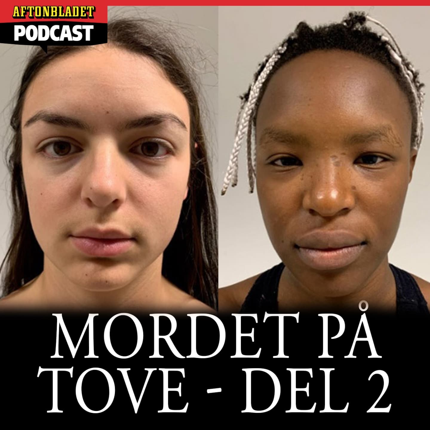 Mordet på Tove - Del 2 - PLUS artwork