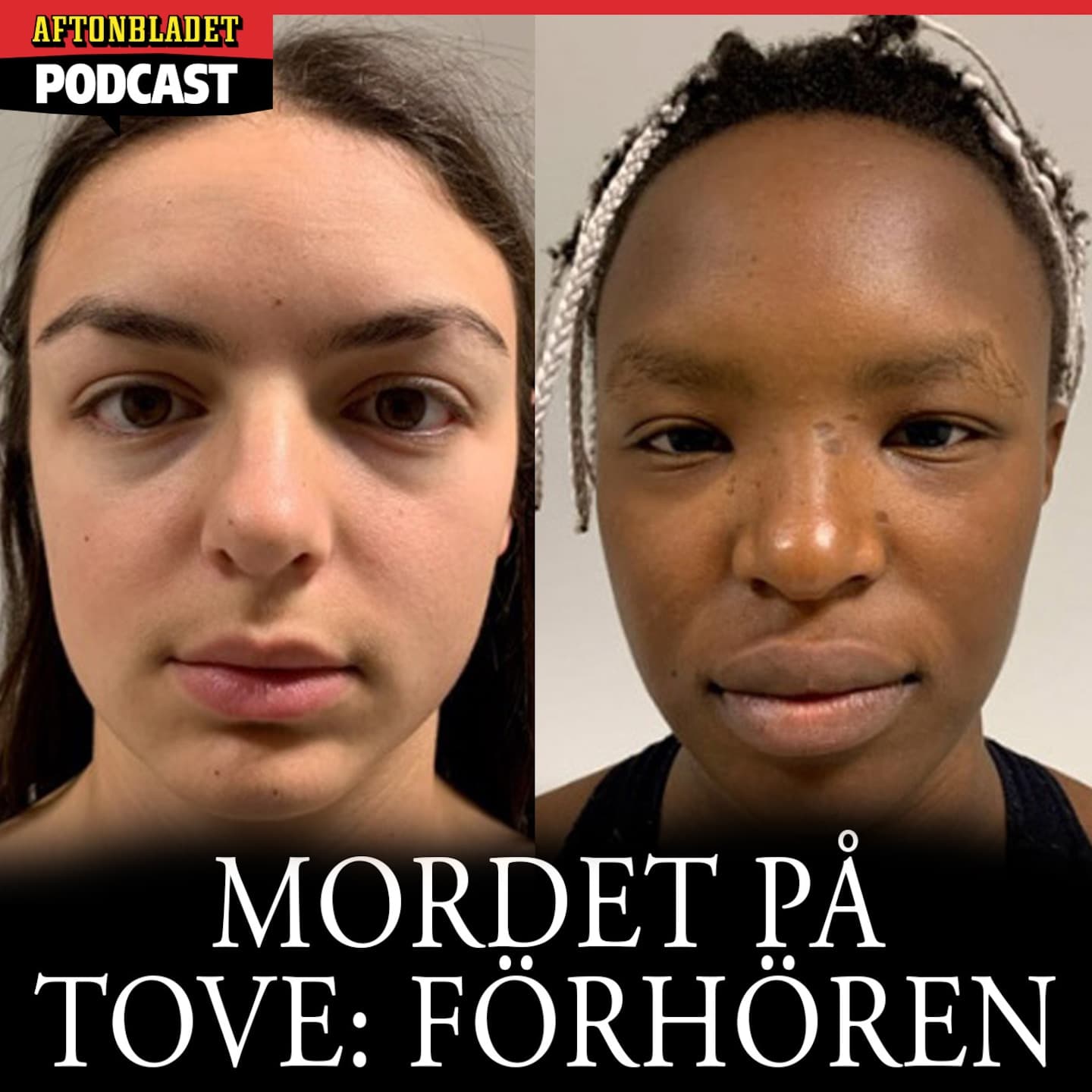 TIPS - Mordet på Tove - Förhören (PLUS) artwork