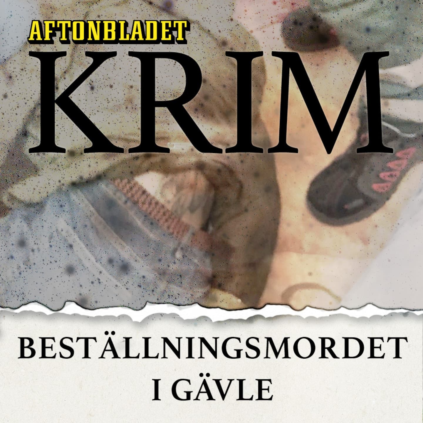 Beställningsmordet i Gävle artwork