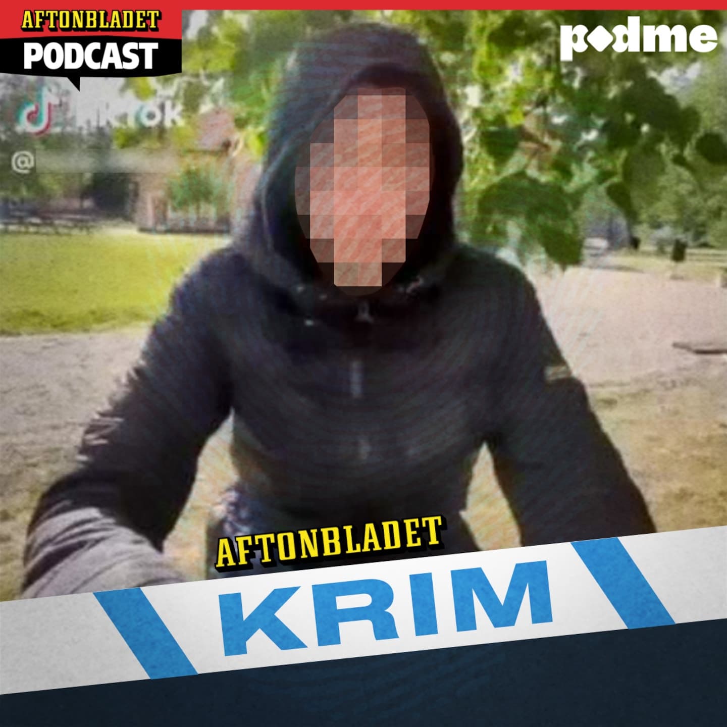 Tortyrmisshandeln i Sundsvall (PLUS) artwork