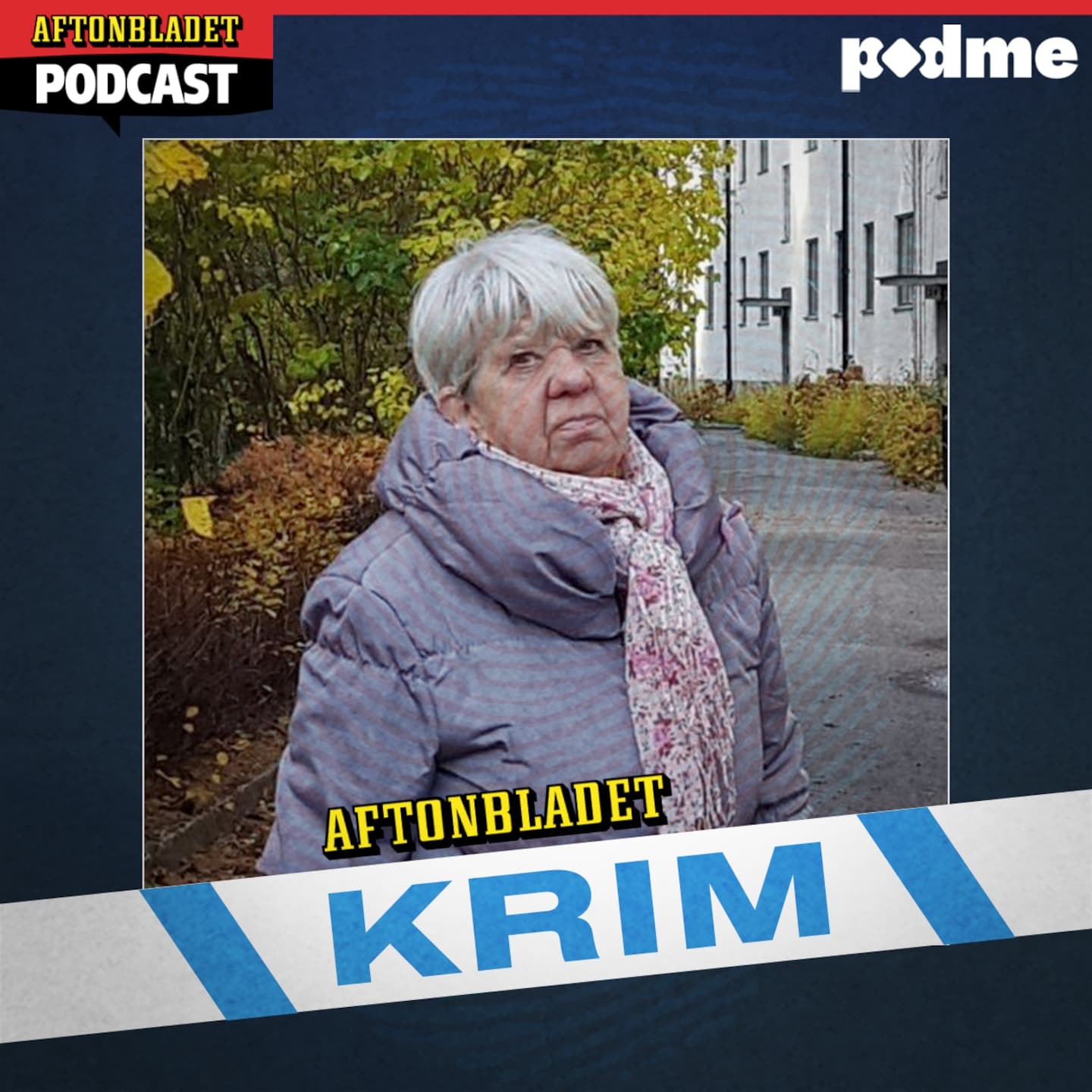 Mordet på Lisbeth (PLUS/PODME) artwork