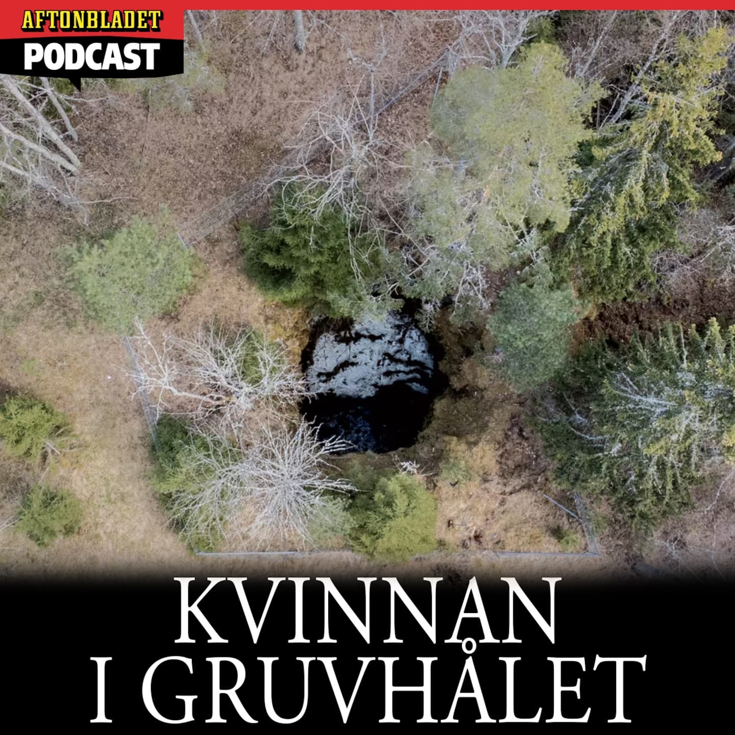 Kvinnan i gruvhålet artwork