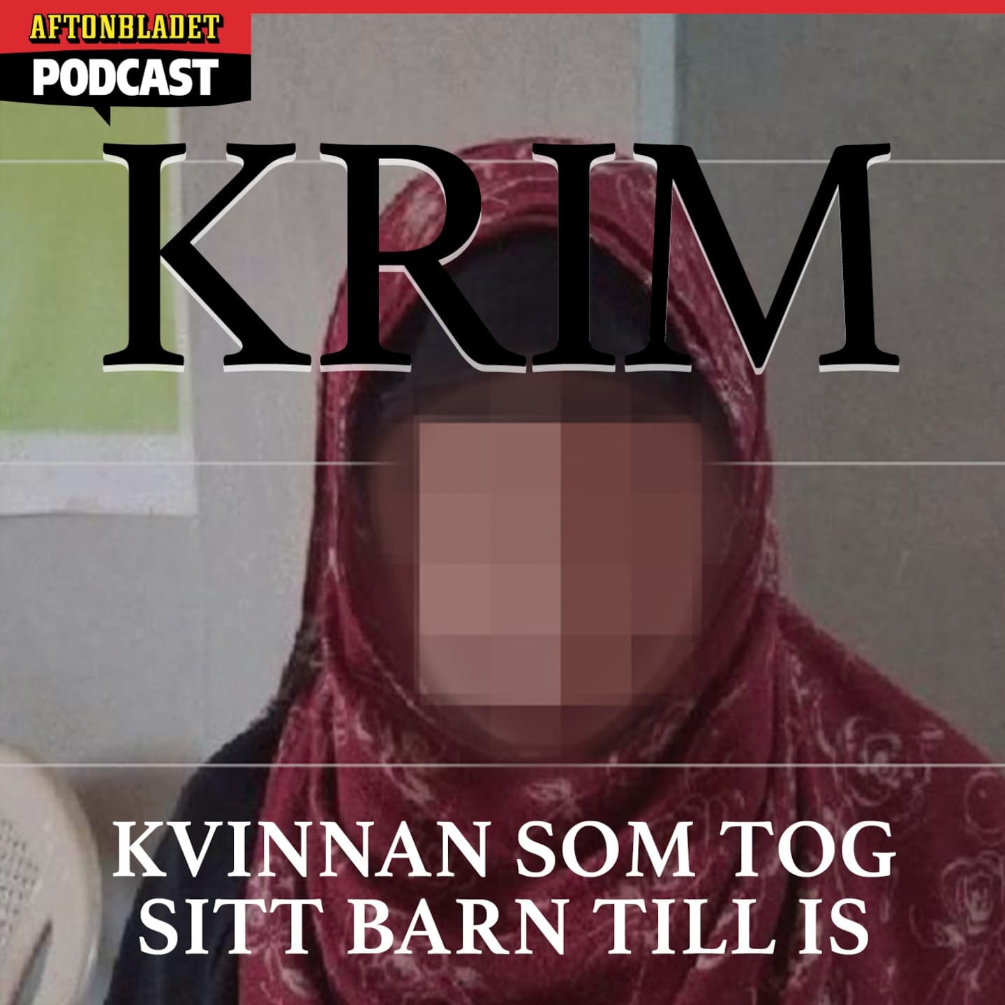 Kvinnan som tog sitt barn till IS artwork