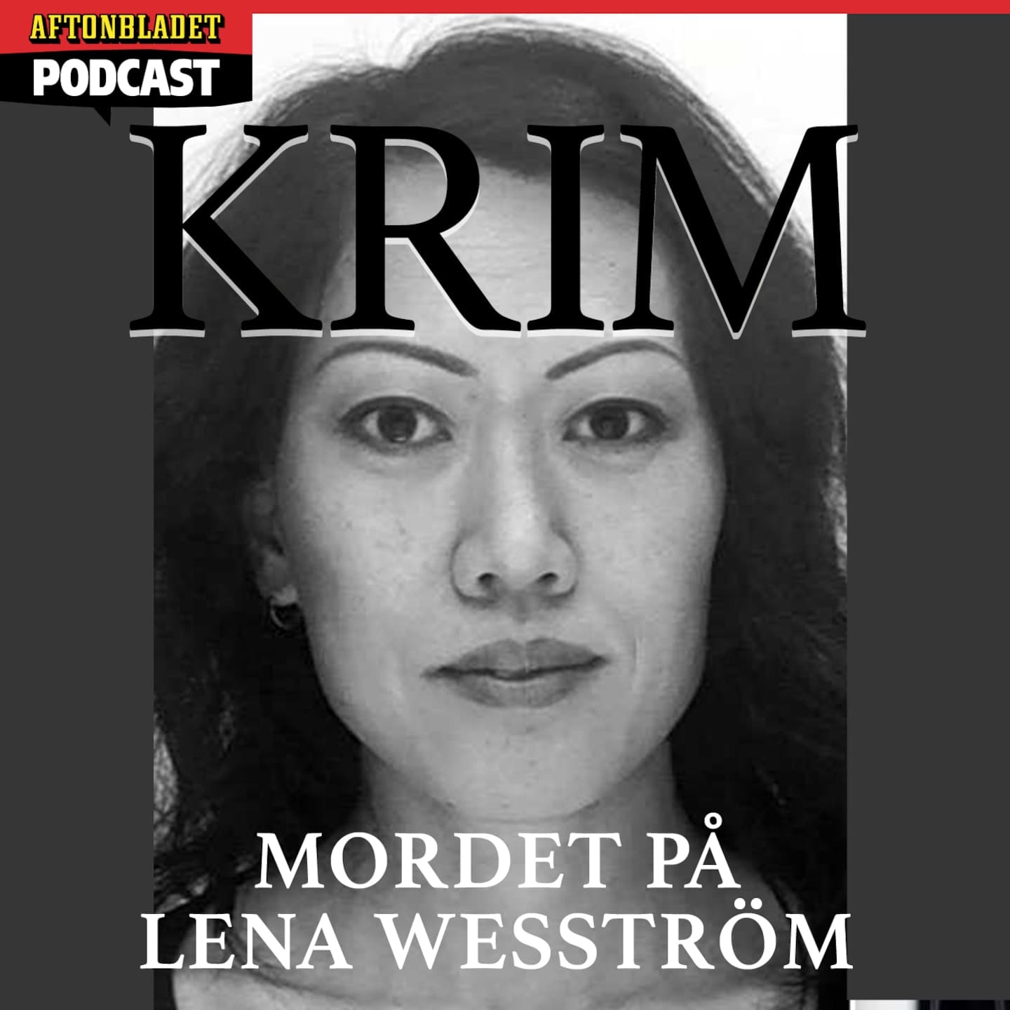Mordet på Lena Wesström artwork