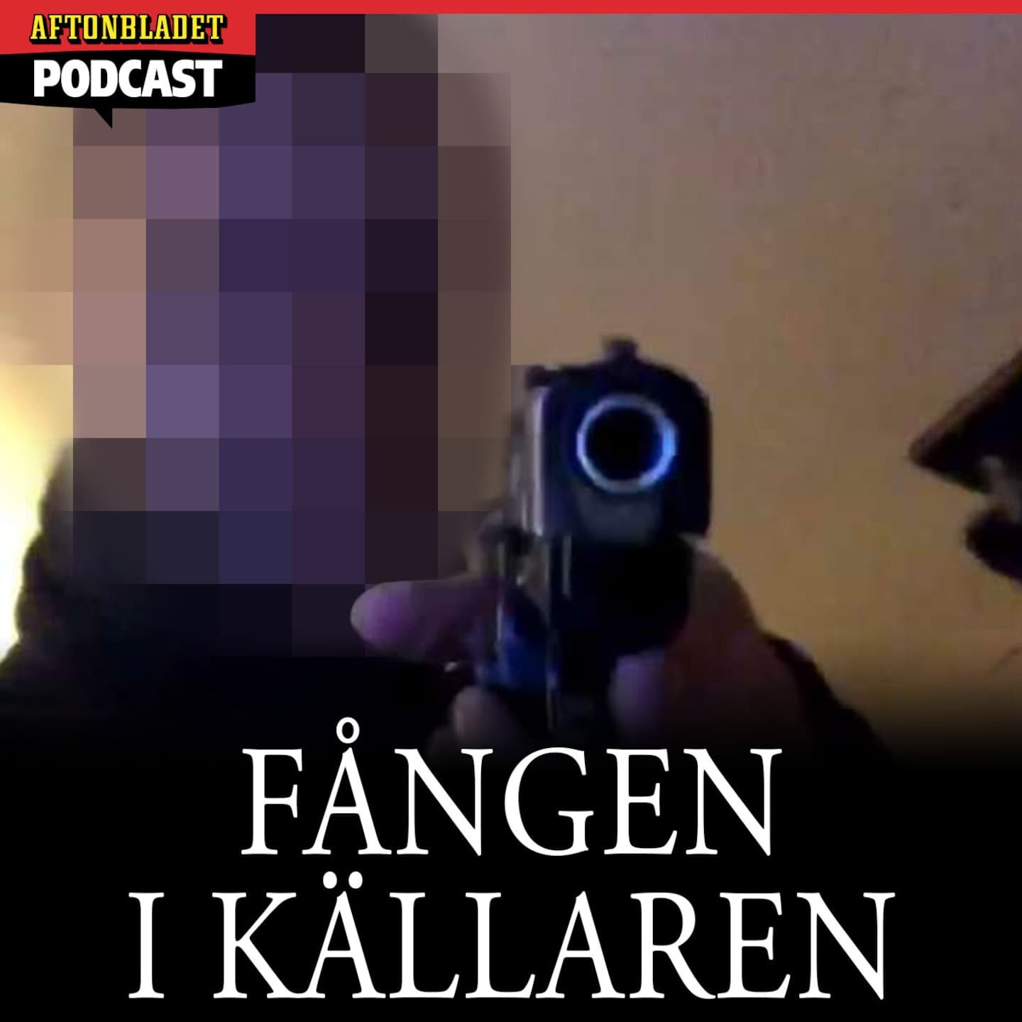 Fången i källaren artwork