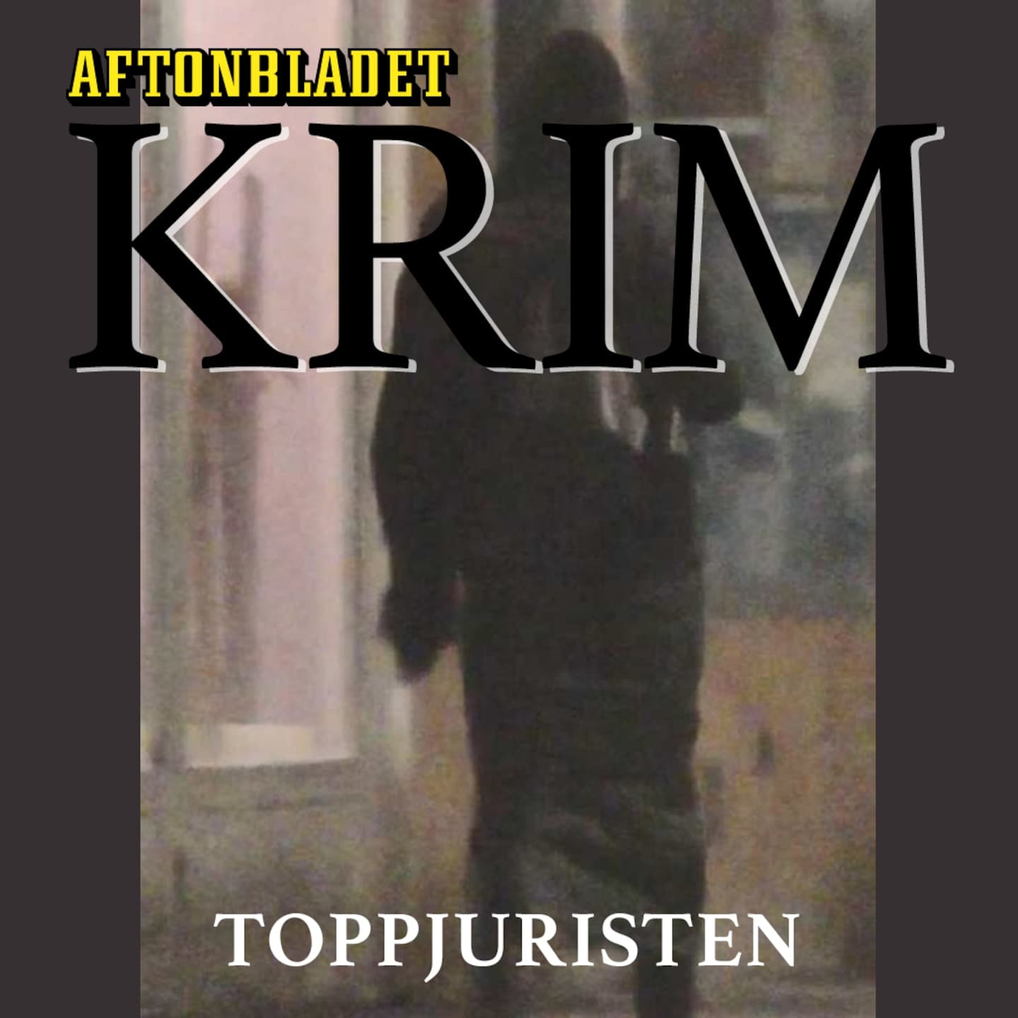 Toppjuristen artwork
