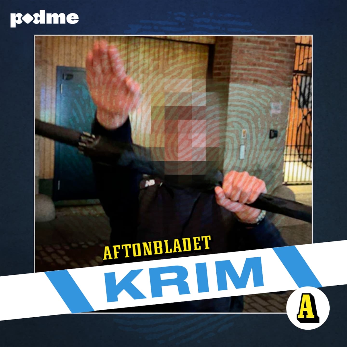 Nazisternas våldsnatt artwork