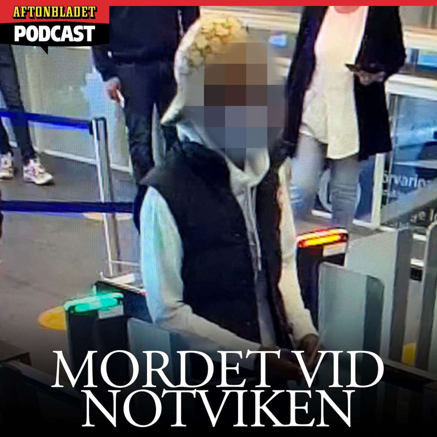 Mordet vid Notviken artwork