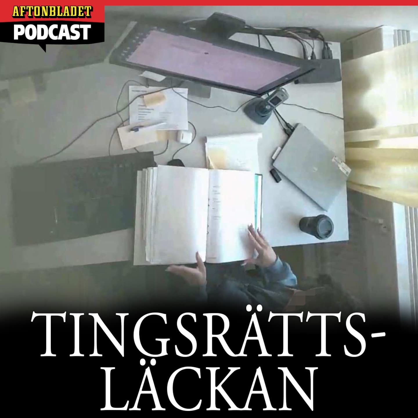 Tingsrättsläckan (PLUS) artwork