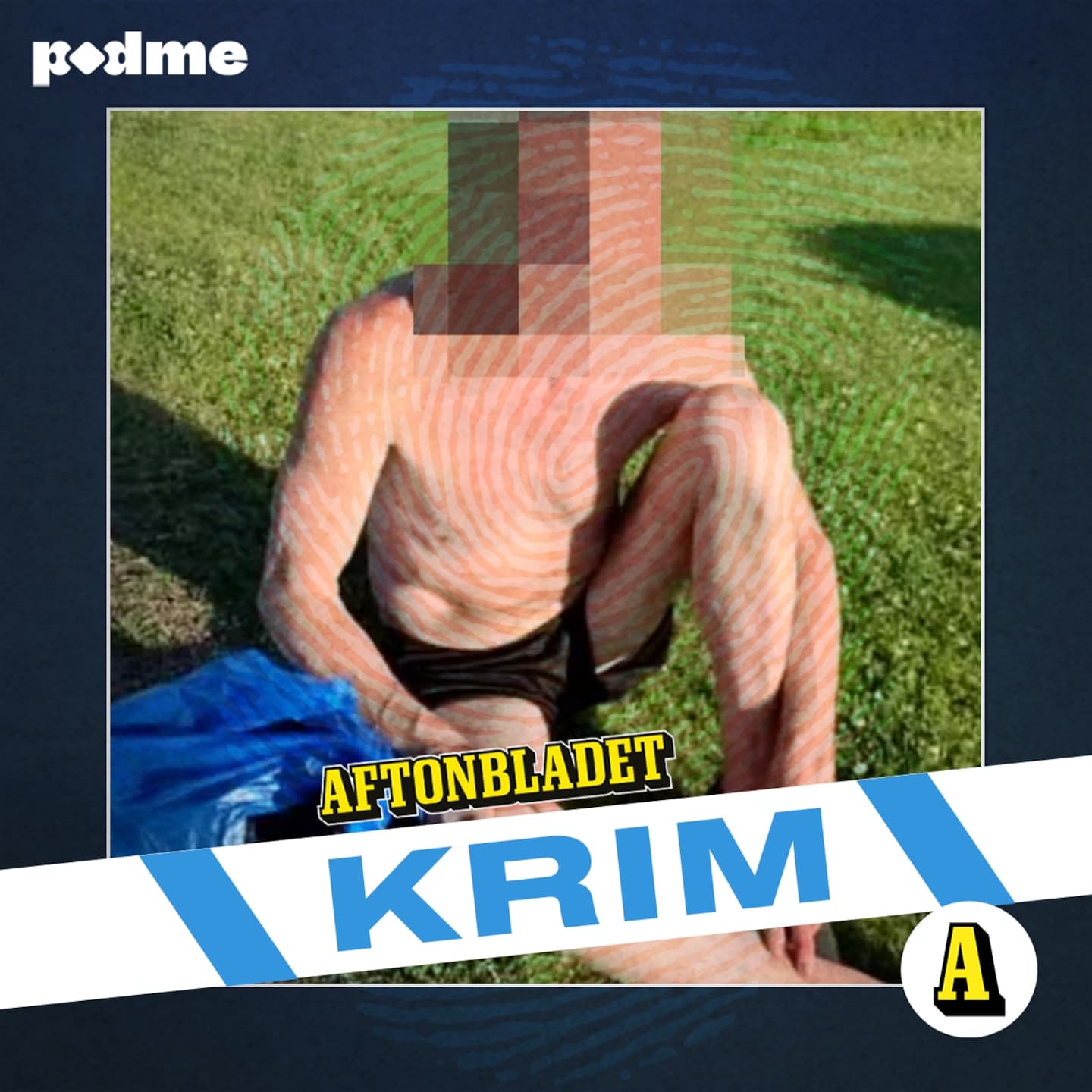Dok: Frändeforsmannen artwork