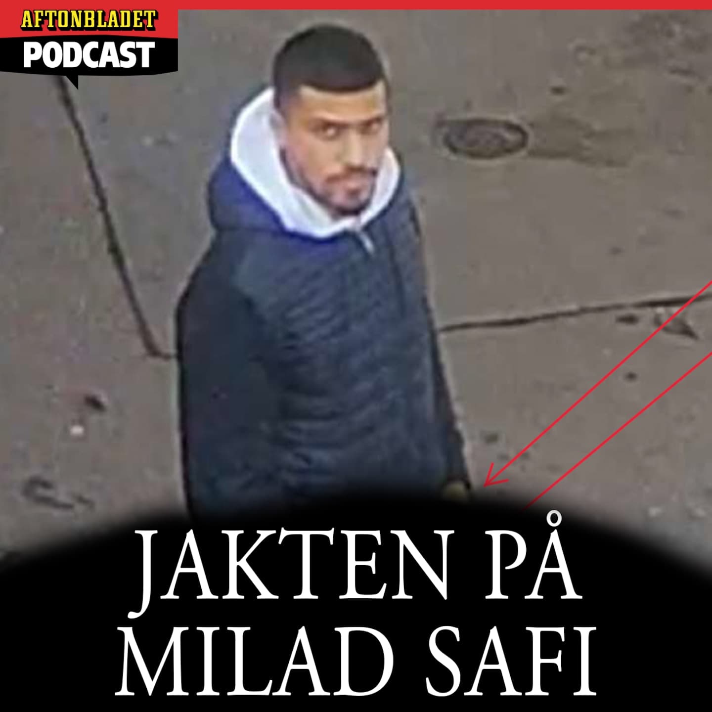 Jakten på Milad Safi artwork