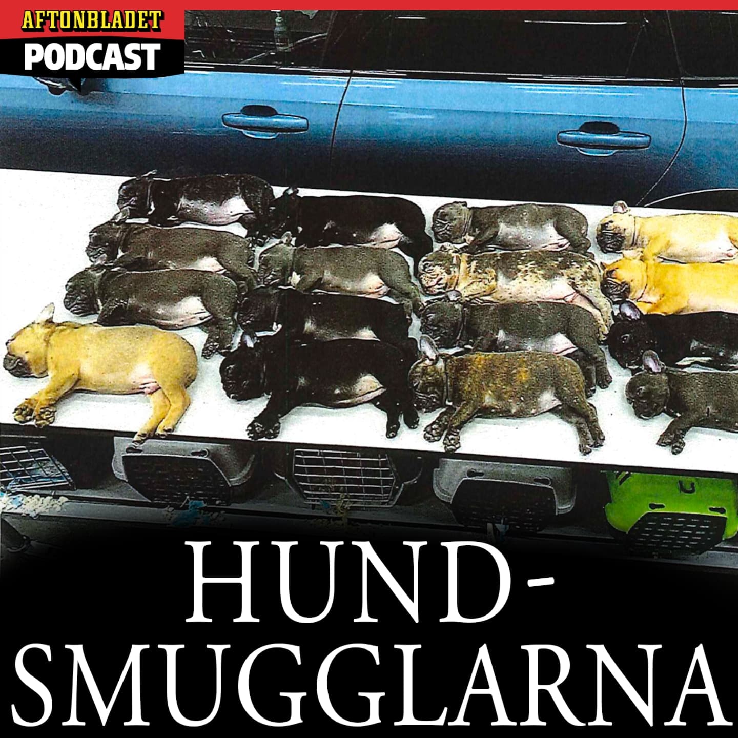 Hundsmugglarna artwork