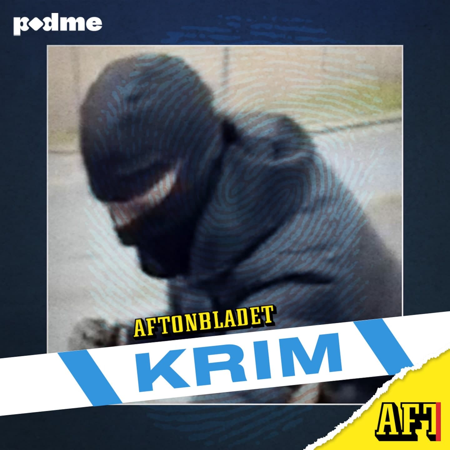 Pedofiljägarna artwork