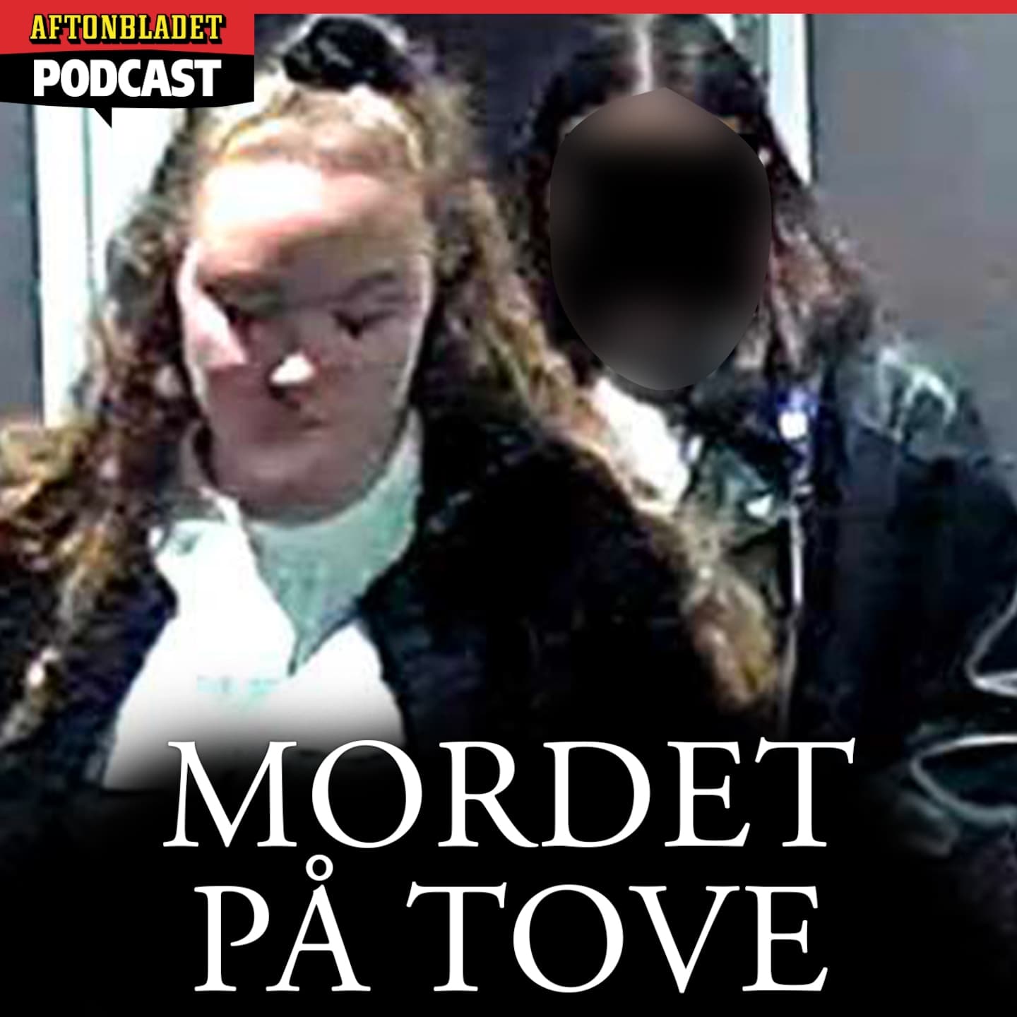 Mordet på Tove artwork