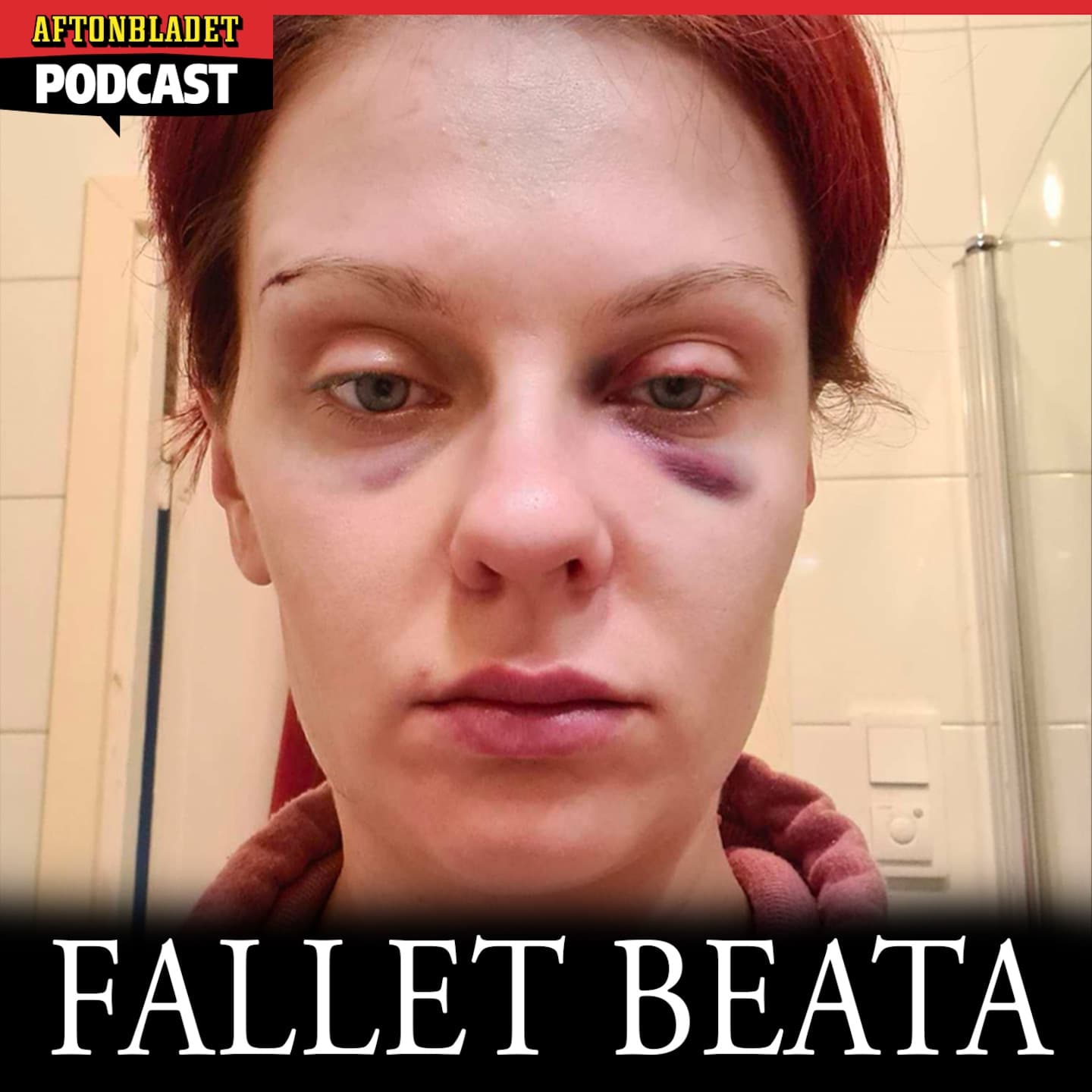 Fallet Beata artwork