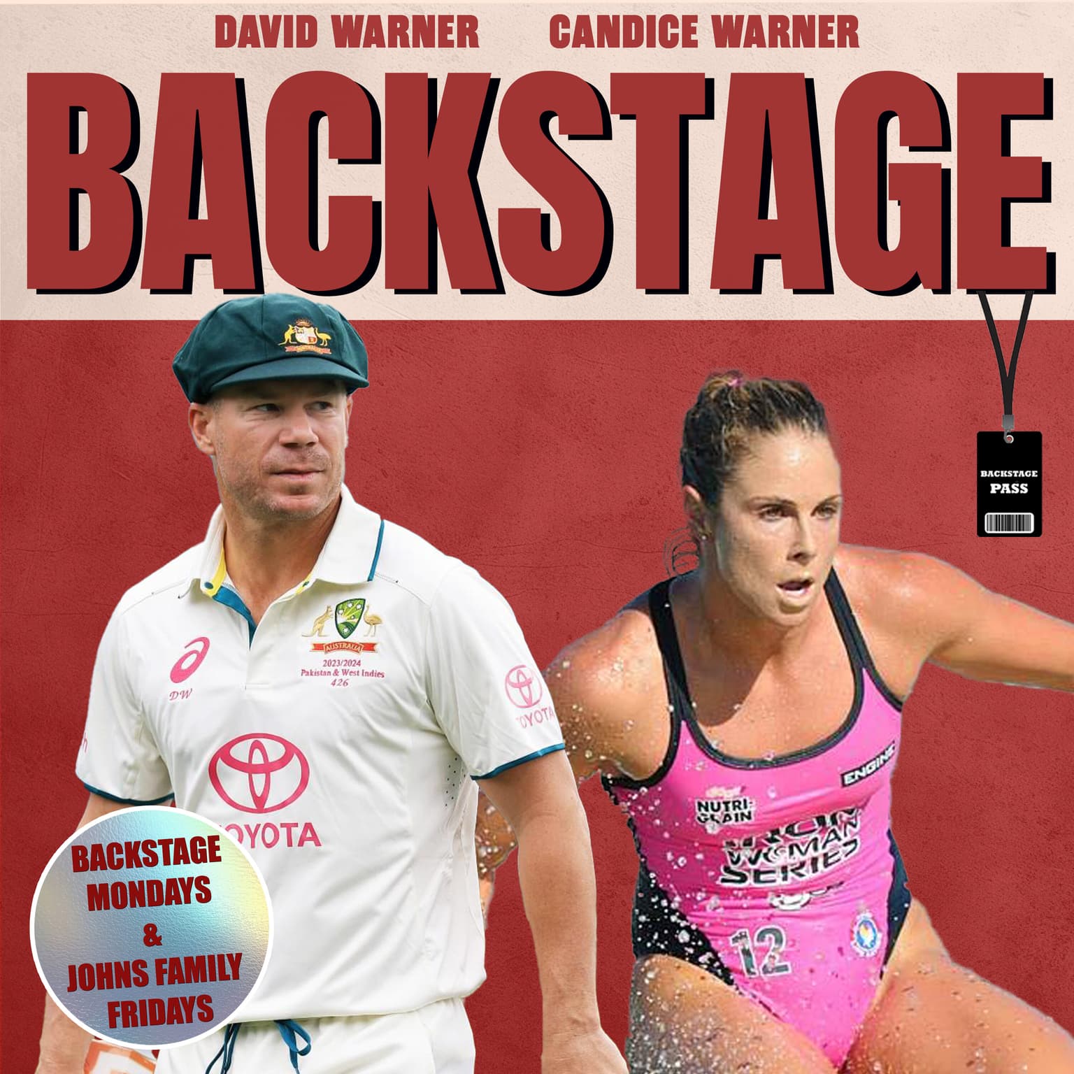 #4 | David & Candice Warner artwork