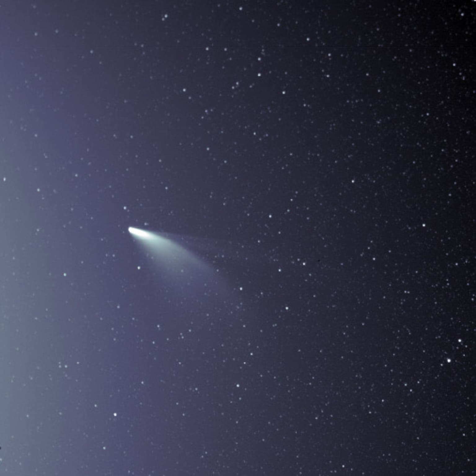 Cosmic Queries – Comet NEOWISE artwork