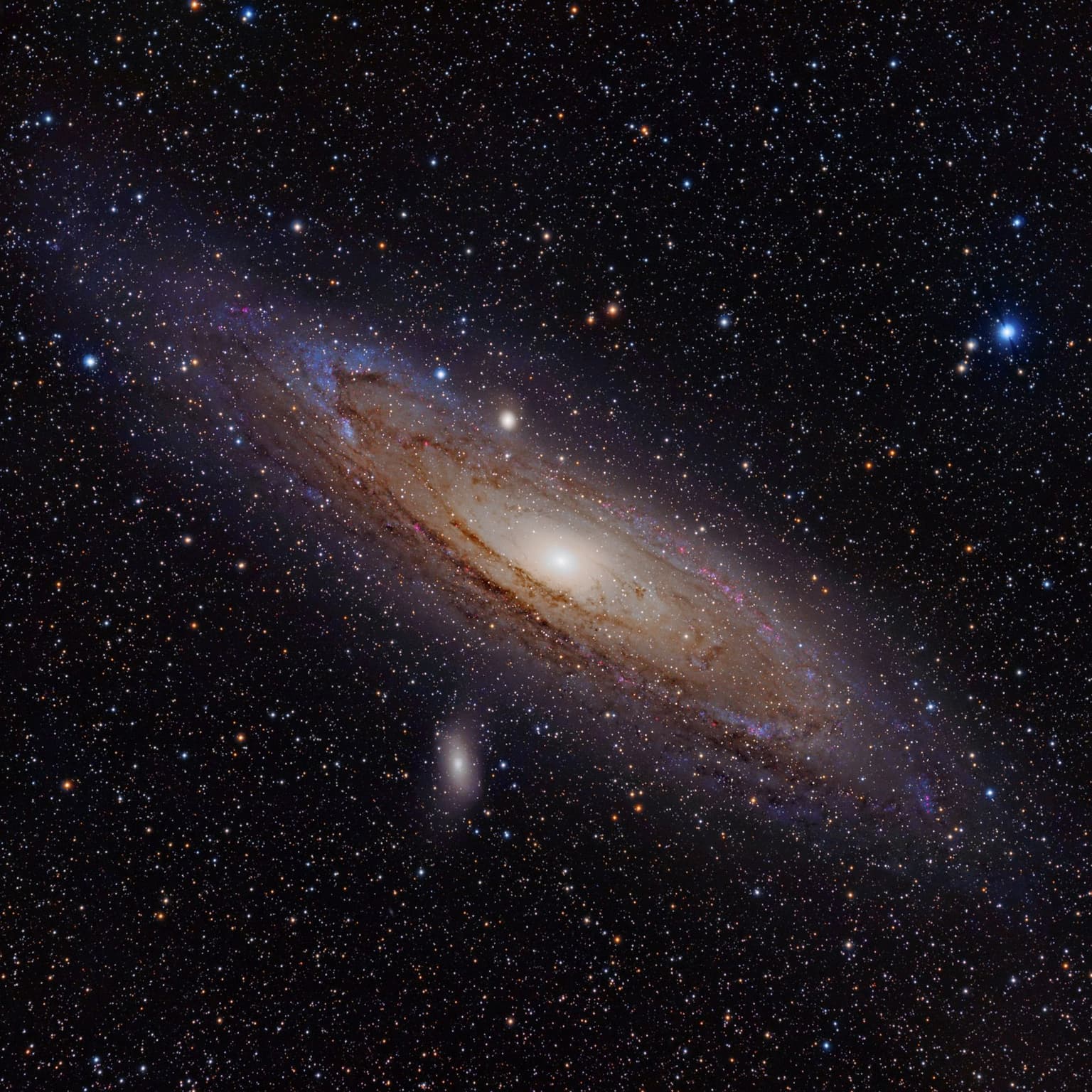 Cosmic Queries - Cream of the Universe Soup artwork