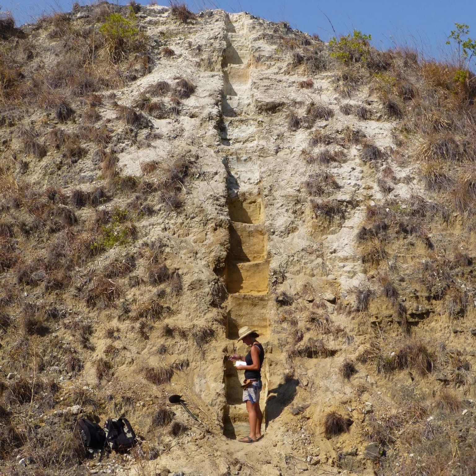 Climate and Diet of Early Humans artwork