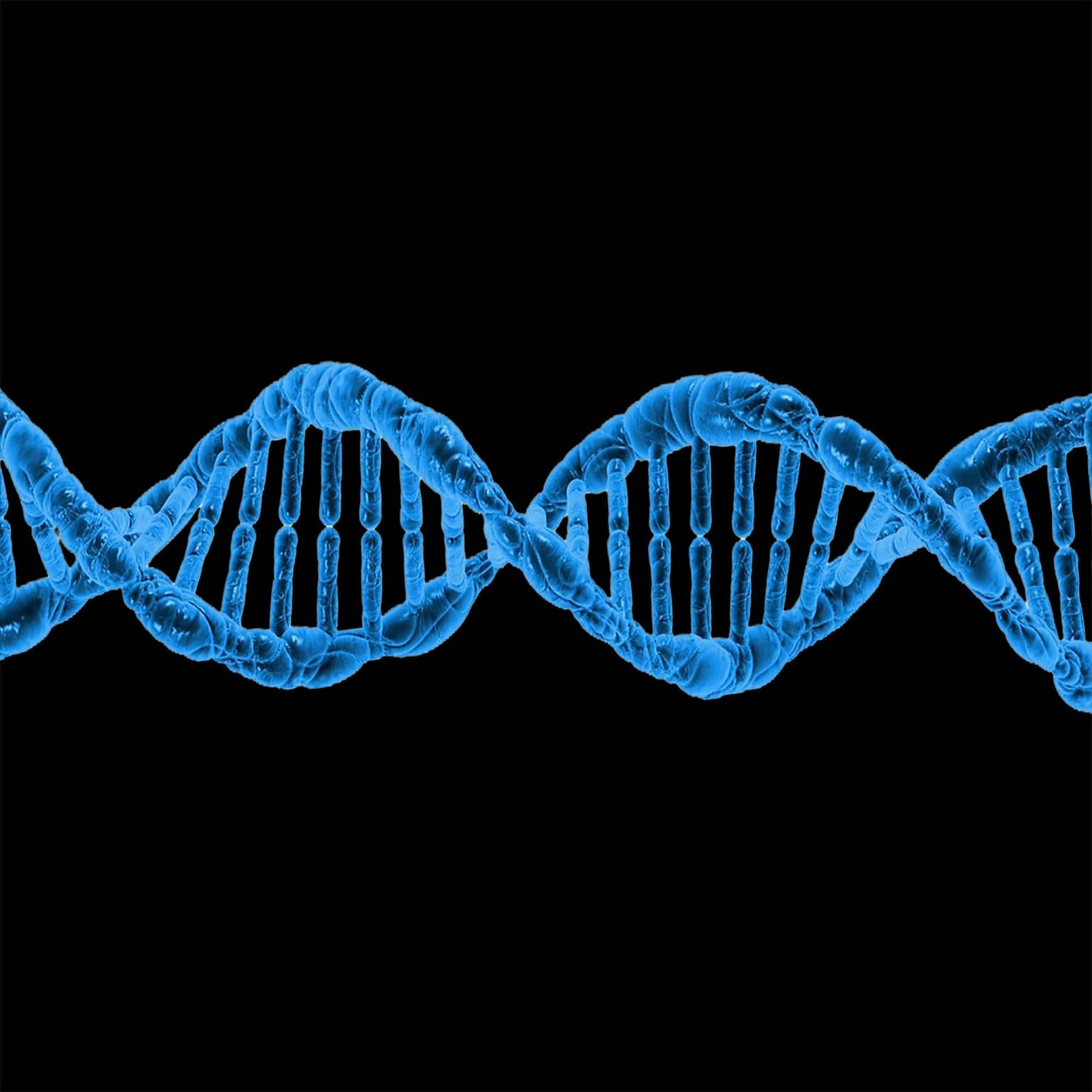 Preventing the Unknown: Genetic Testing with Dr. Stuart Kim artwork