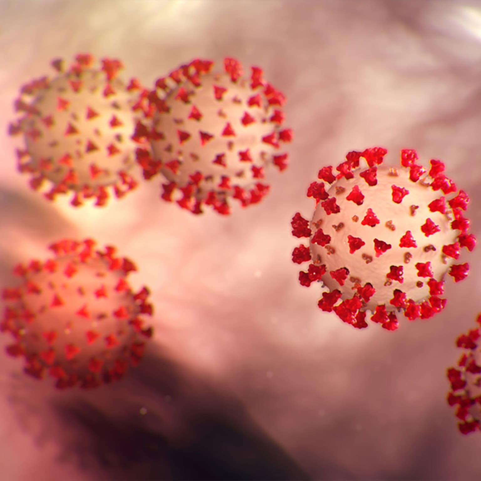 Understanding the Coronavirus (COVID-19) artwork