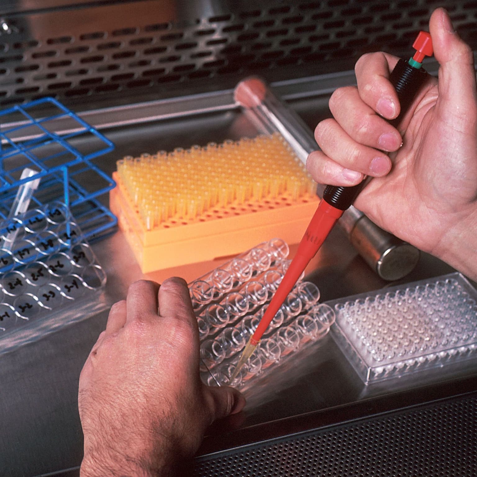 The Omicron Variant with President of Regeneron, George Yancopoulos artwork