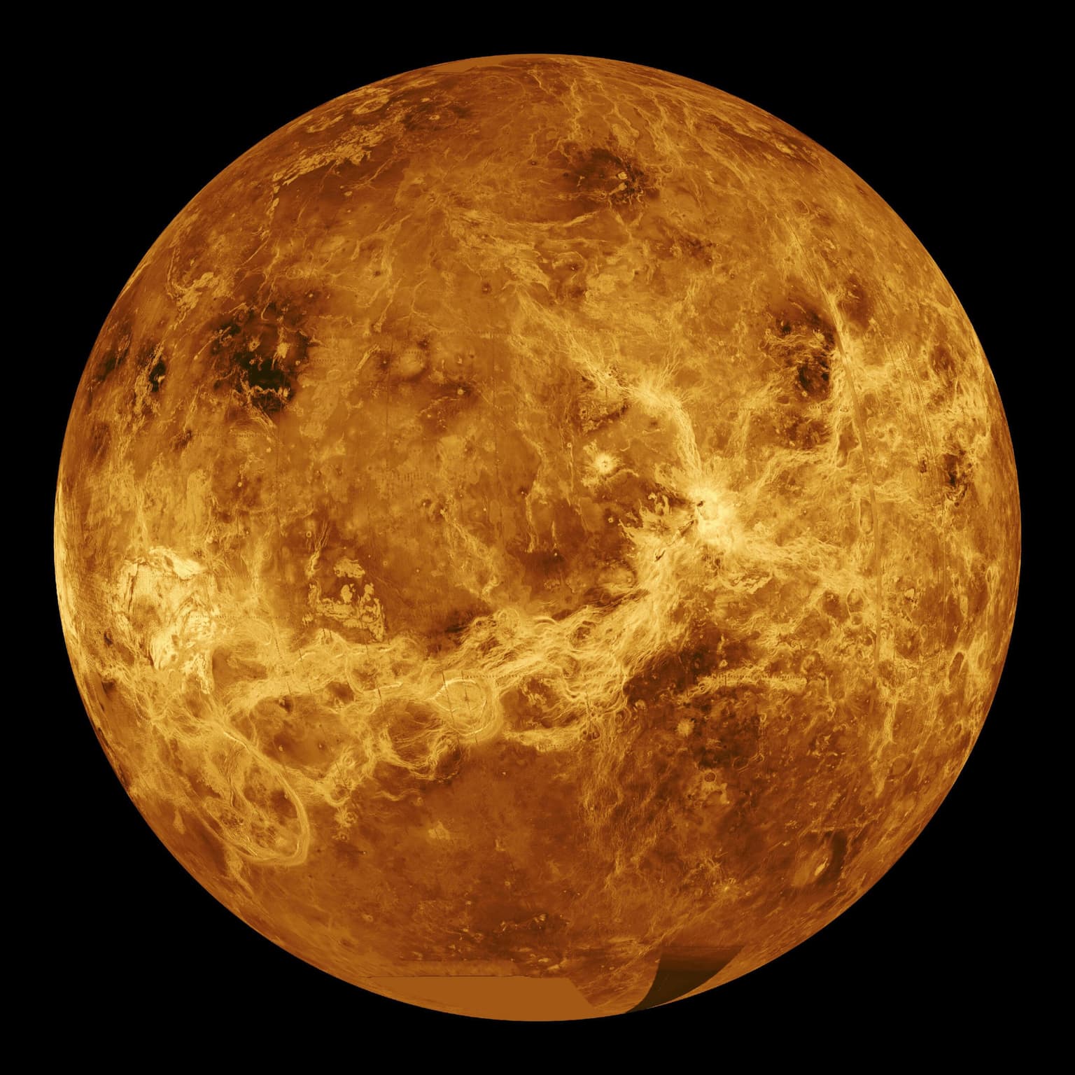 Things You Thought You Knew – Venus Pizza artwork
