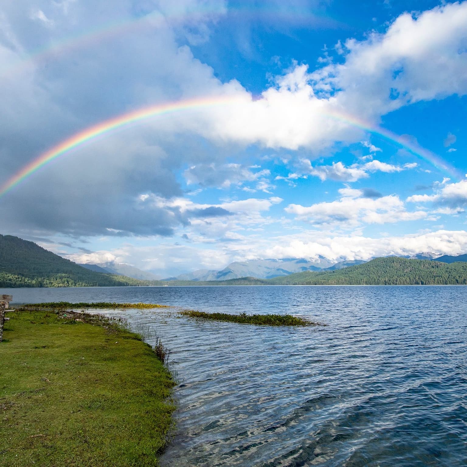 Things You Thought You Knew – Somewhere Over the Rainbow artwork