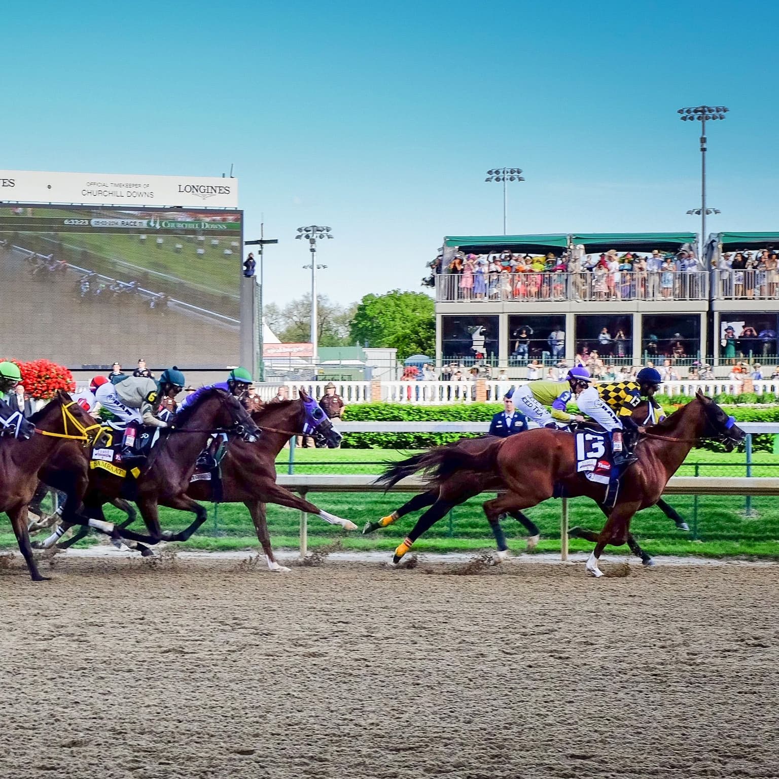 Horsepower with Dr. Sarah White-Springer artwork