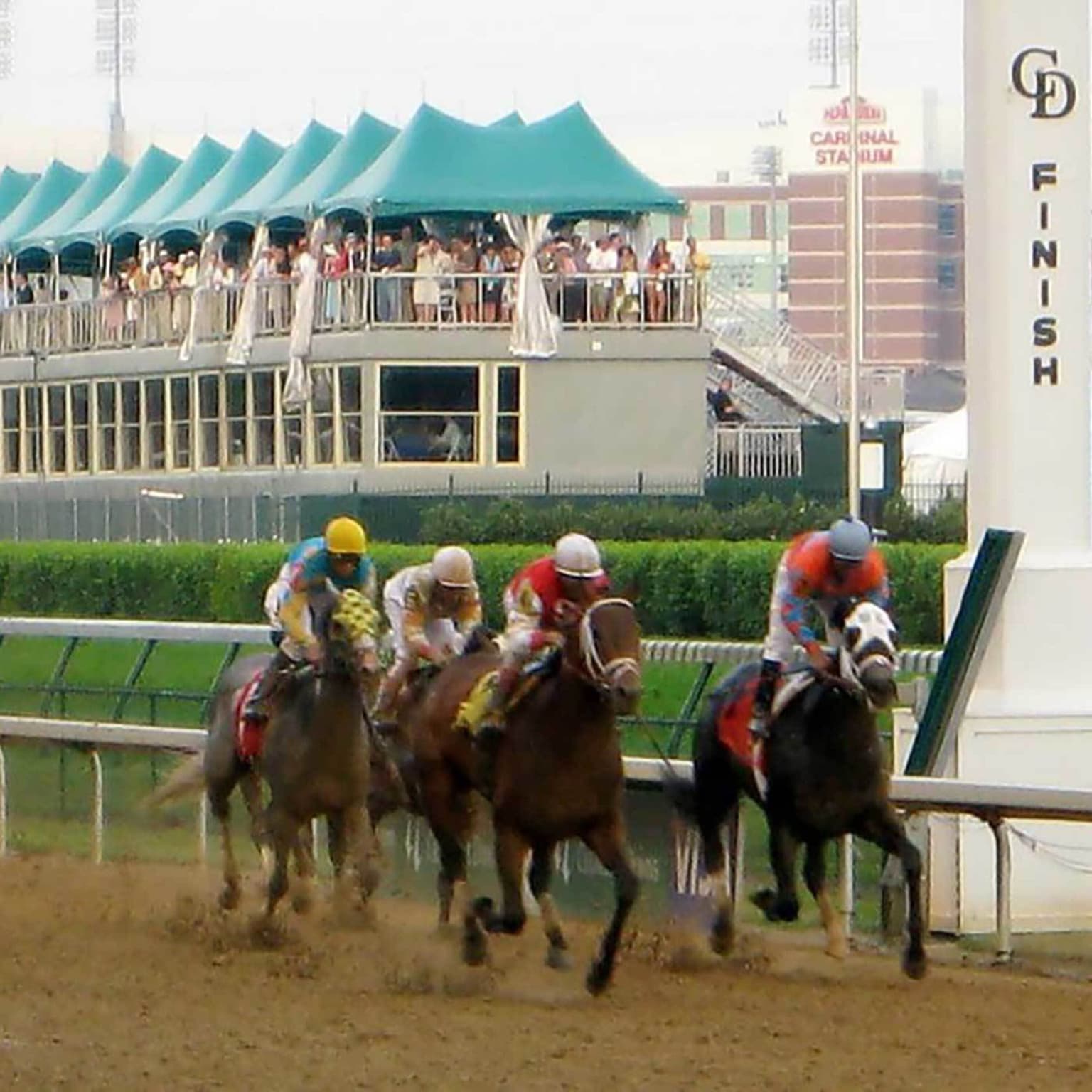 #ICYMI - The Science of Thoroughbred Racing artwork