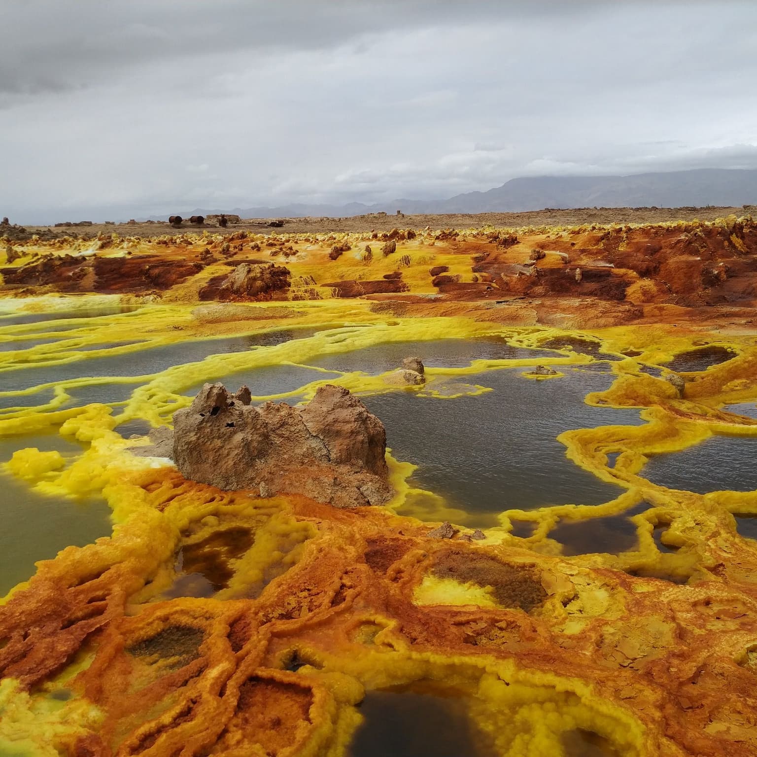 Cosmic Queries – Alien Worlds and Extremophiles with Kennda Lynch artwork