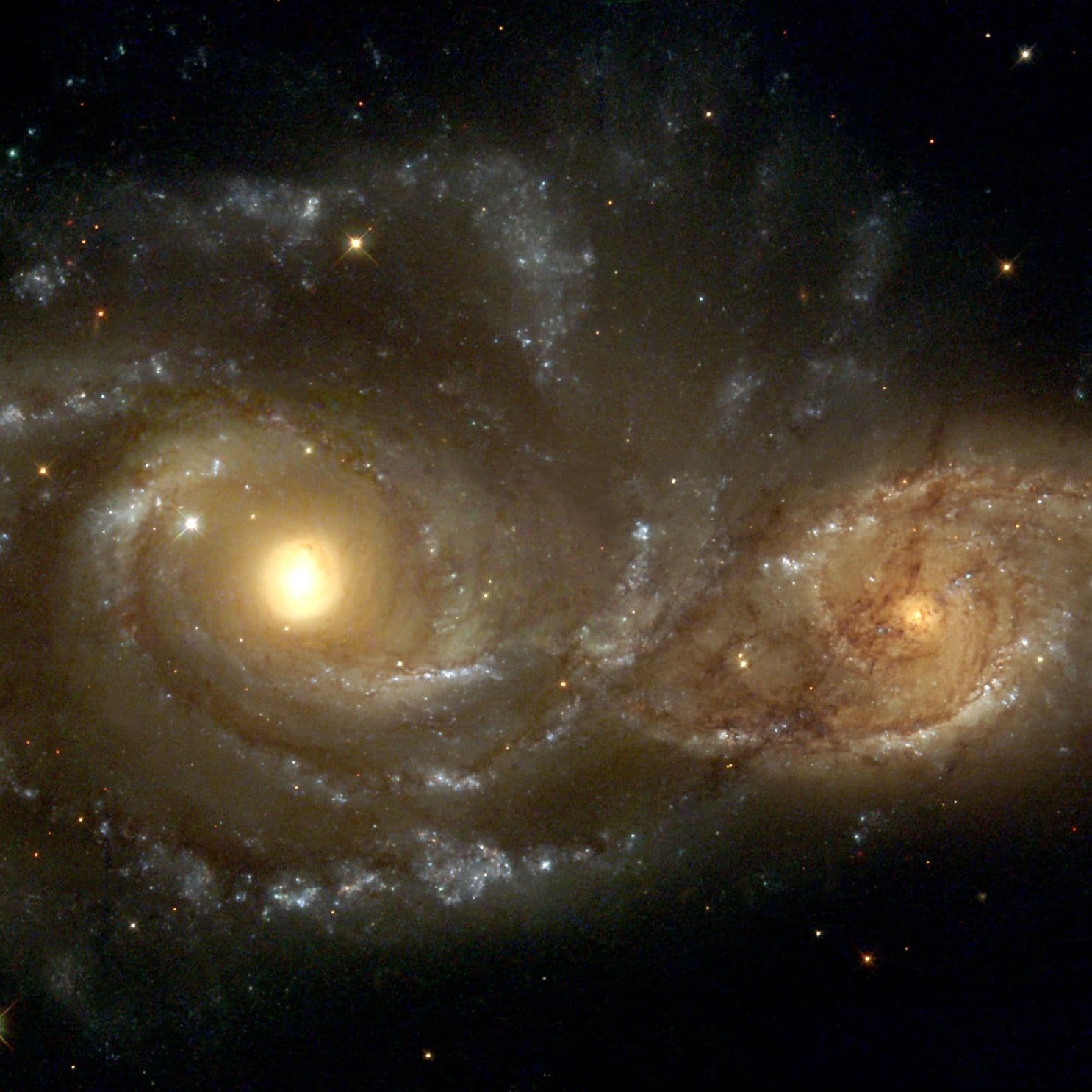 Cosmic Queries – Back to School Edition artwork
