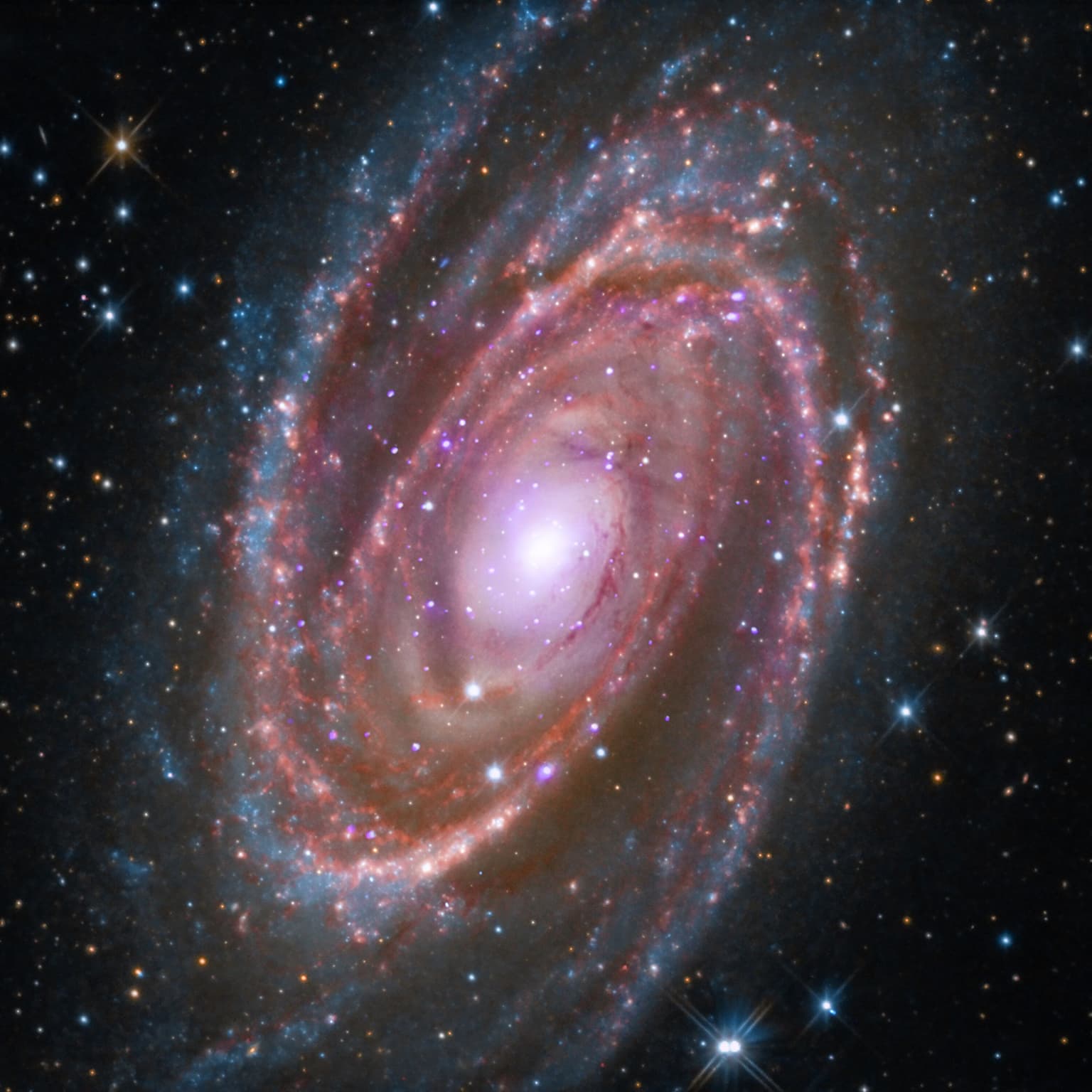 Cosmic Queries – Fan Grab Bag artwork