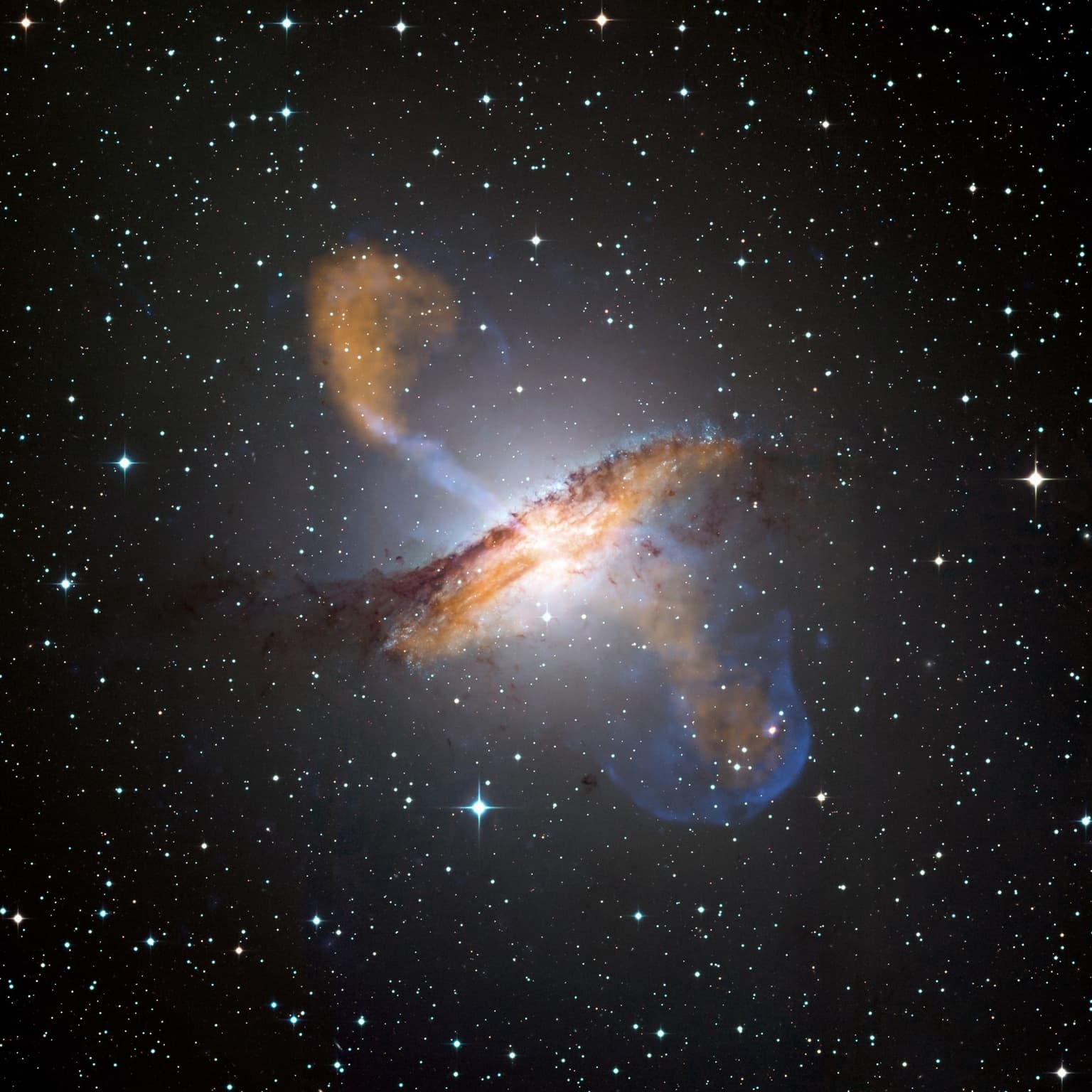 Black Hole Bonanza: StarTalk Live! With Janna Levin and Jenny Greene artwork