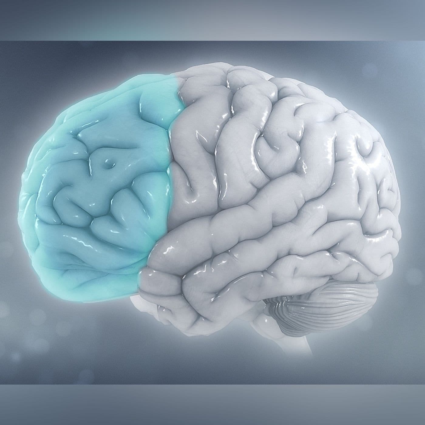 Neuroscience of Focus with Heather Berlin artwork