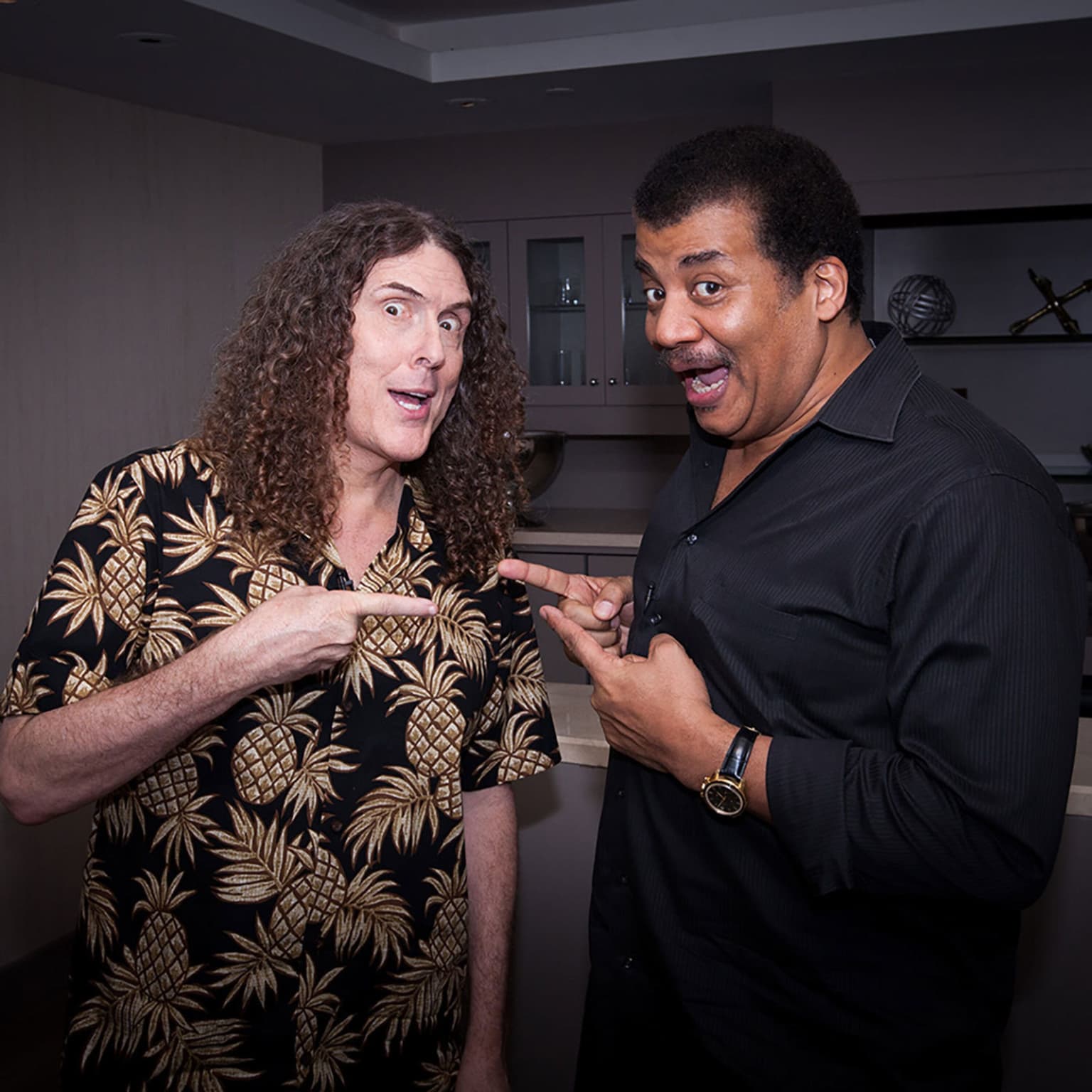 Parody and Geek Culture, with “Weird Al” Yankovic artwork
