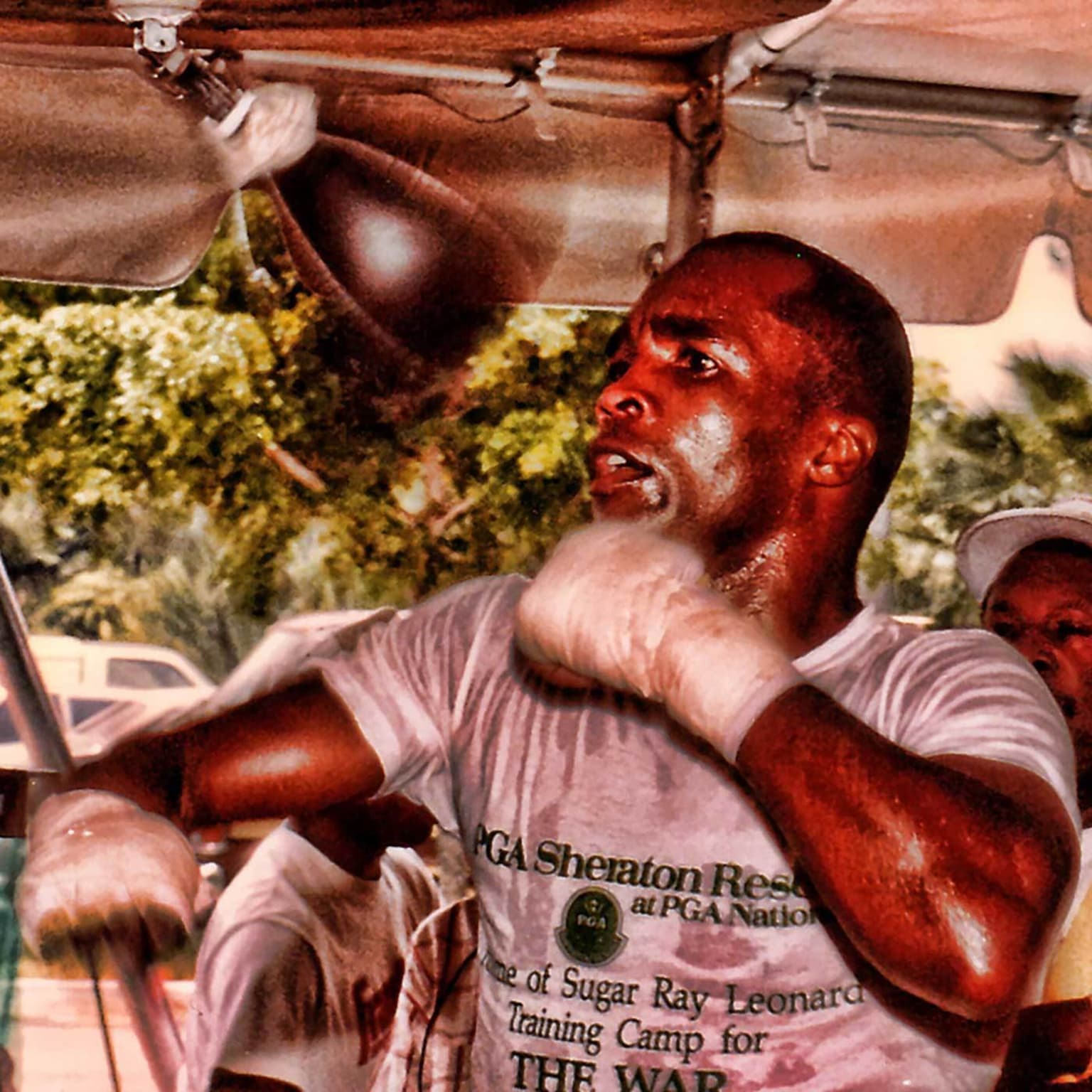#ICYMI - The Sweet Science of Boxing, with Sugar Ray Leonard artwork