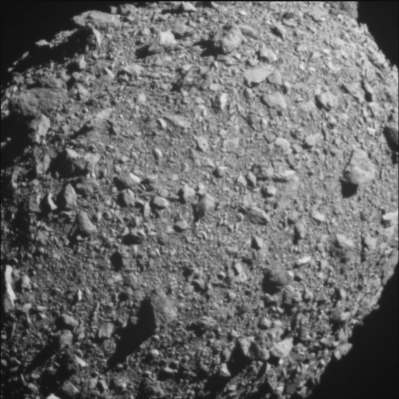 Cosmic Queries – Asteroid Hunters with Marina Brozovic artwork