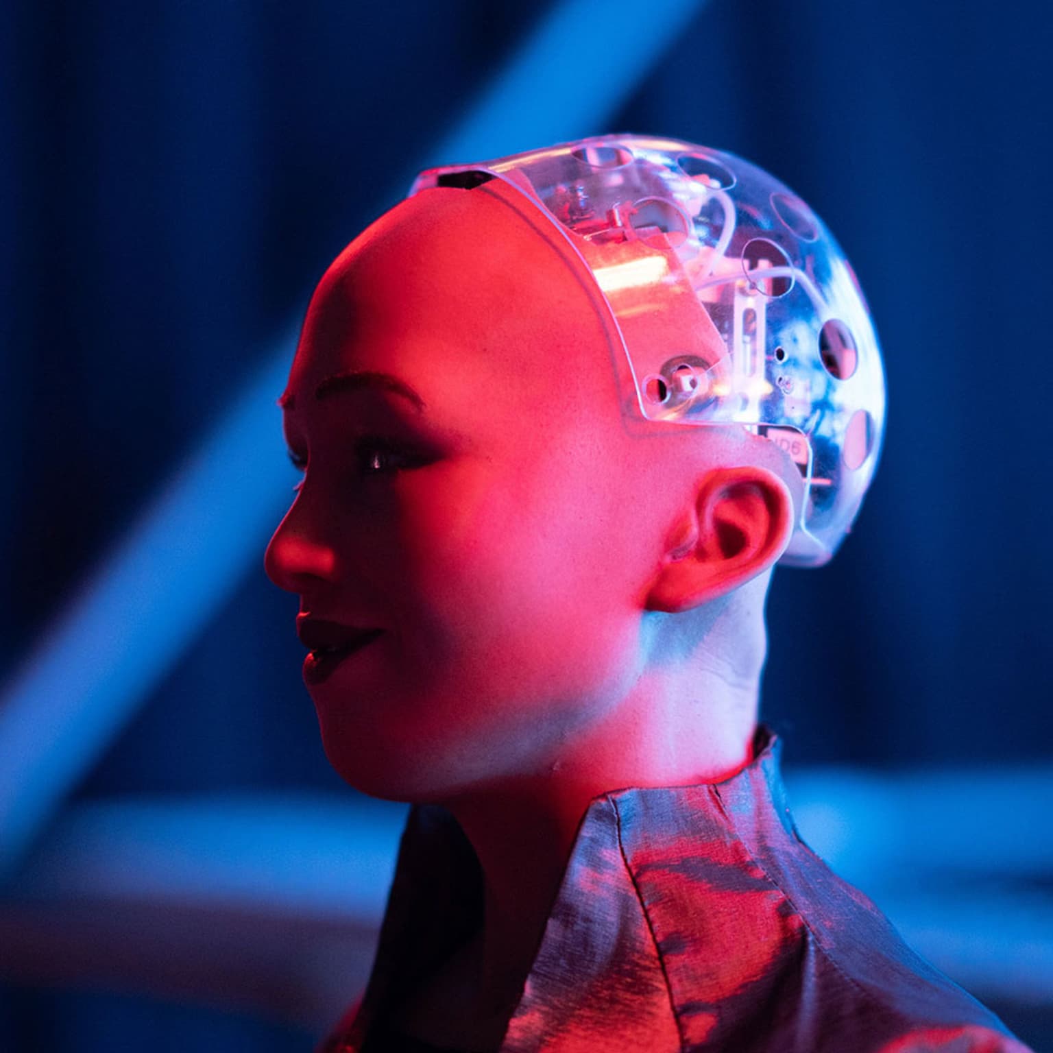 Cosmic Queries – Humans and Robots artwork