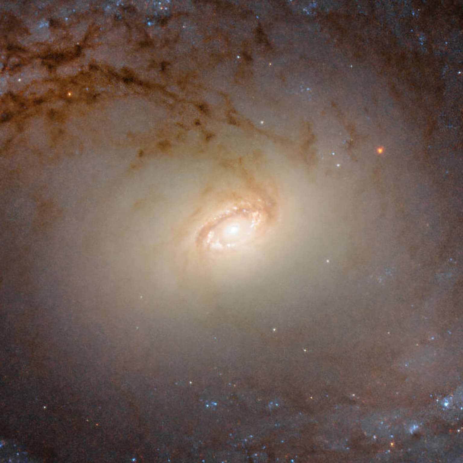Cosmic Queries – Theoretical Physics artwork