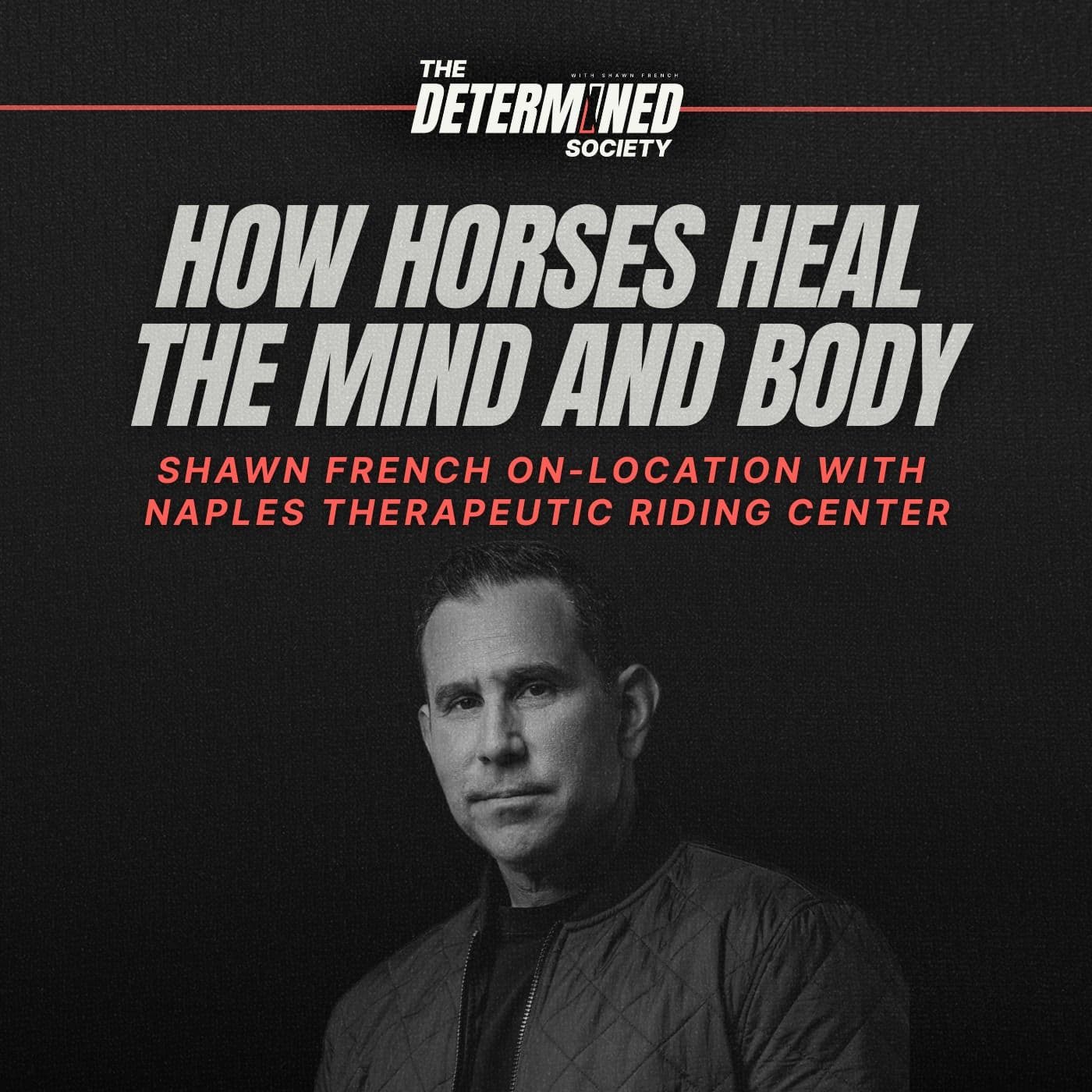 Horses, Healing & Discipline: Breaking Limiting Beliefs artwork