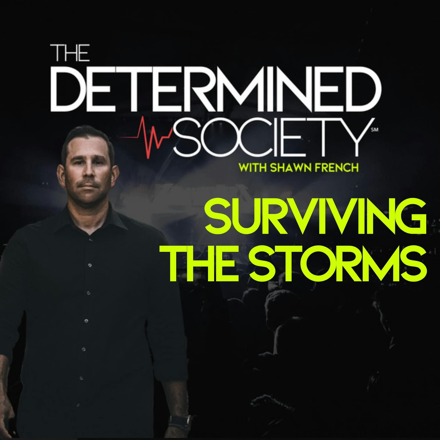 Surviving the Storms: Resilience in the Face of Adversity artwork