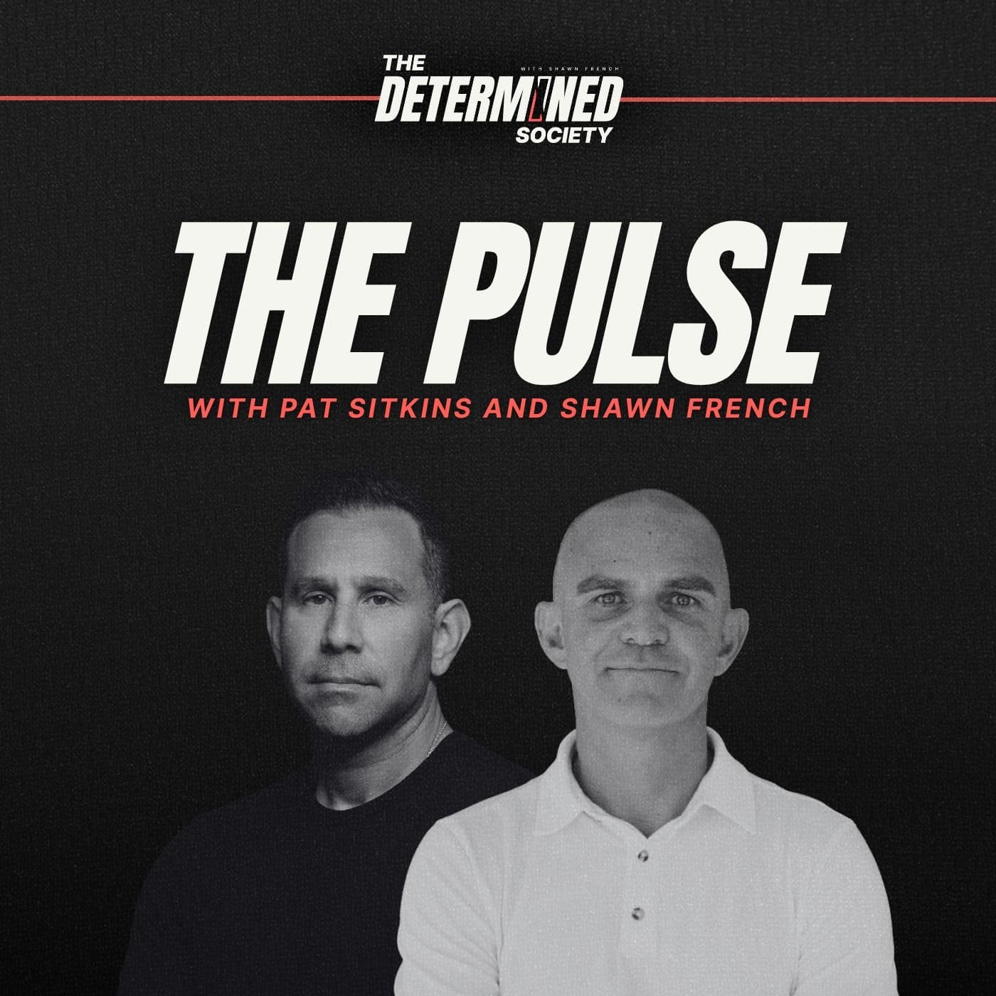 The Pulse | Cultural Perspectives on Success artwork