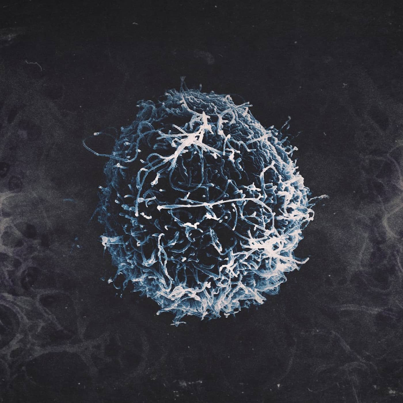 BONUSAVSNITT: Coronavirus 2019-nCoV artwork