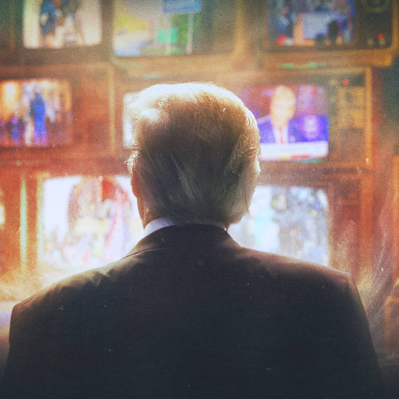 De ofrias land – USA:s demokratiska kris artwork