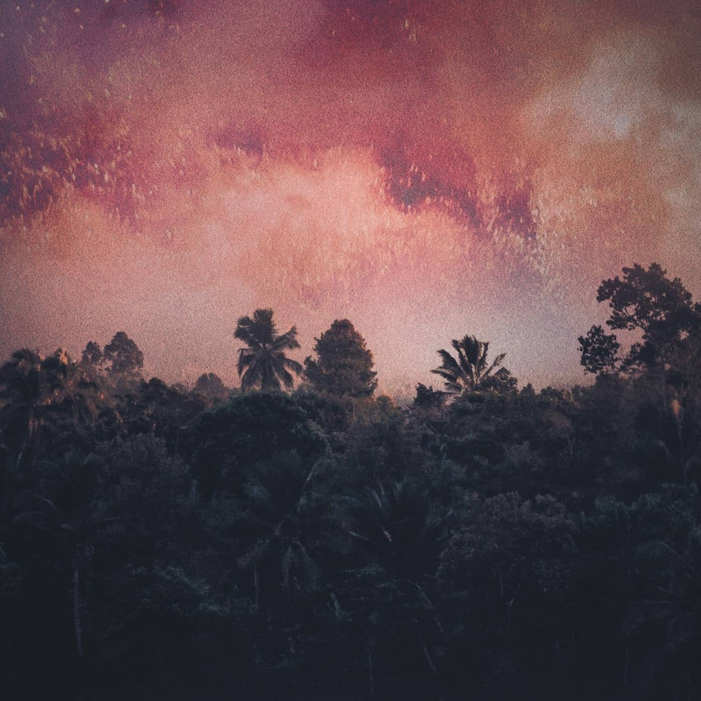 Amazonas kollaps artwork