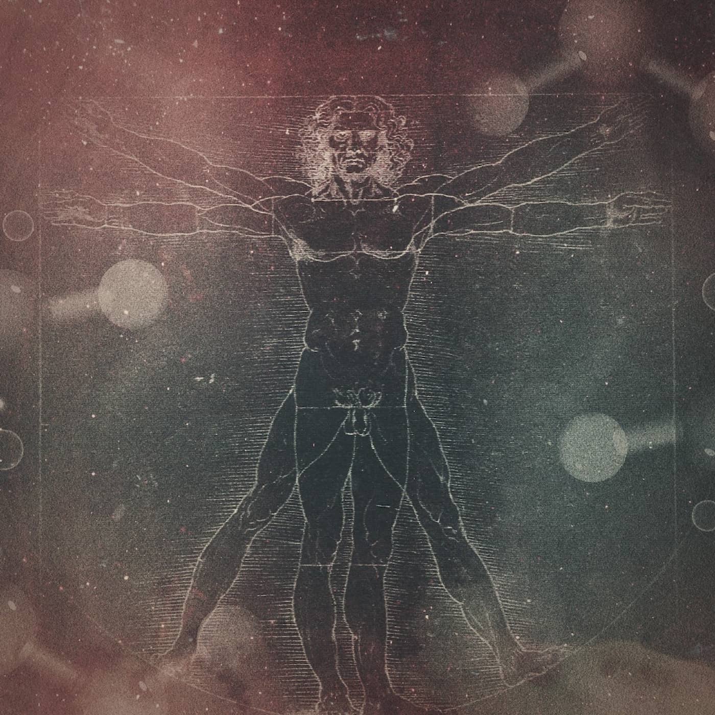 Hormonstörande kemikalier artwork