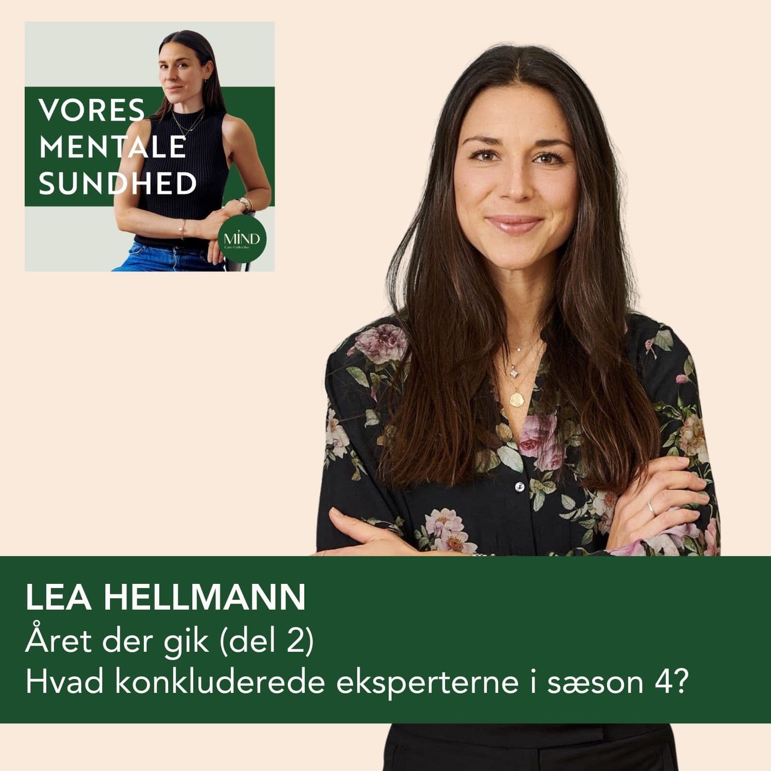 NYTÅRSAFSNIT 2: Highlights fra året der gik. Hvad konkluderede eksperterne i sæson 4? artwork