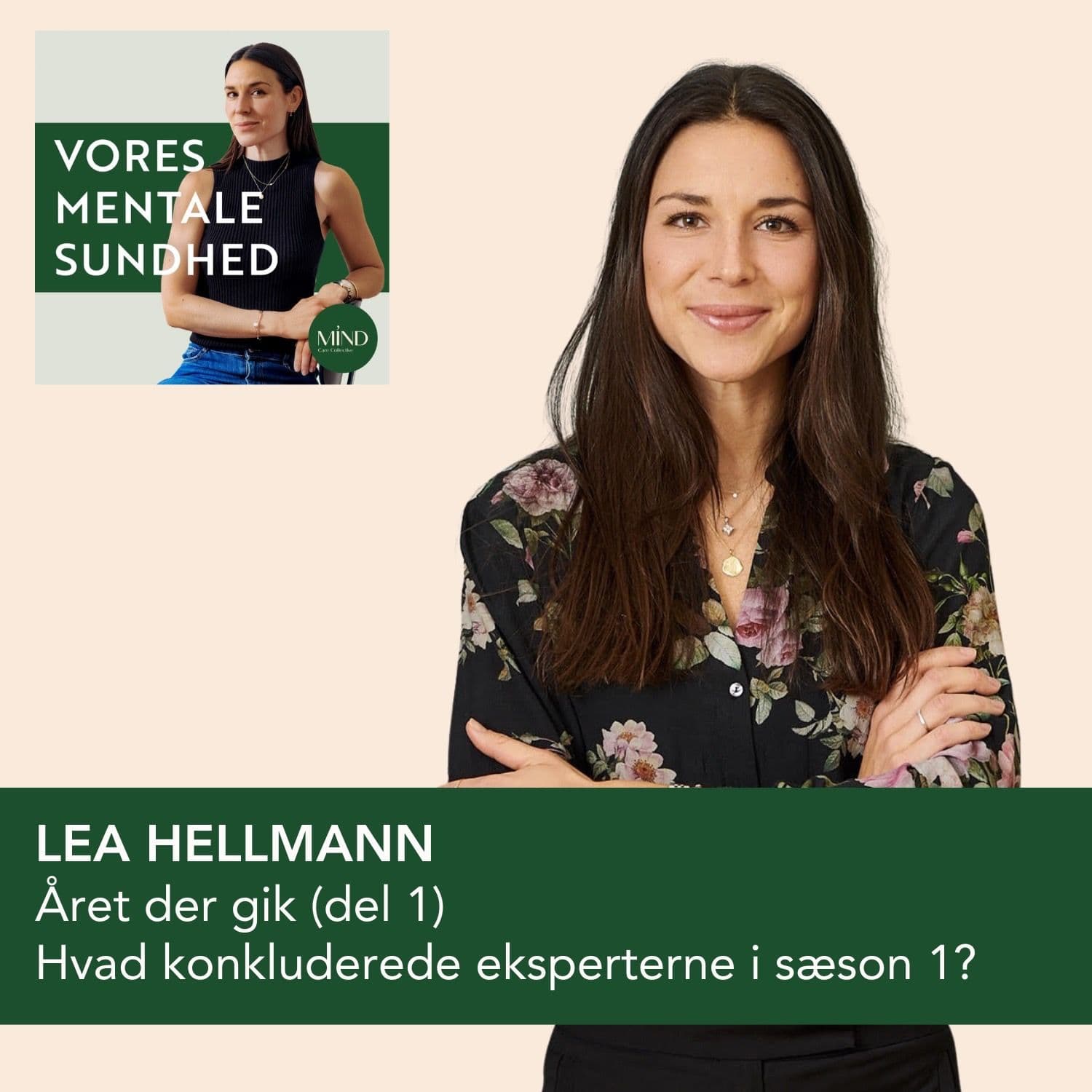 NYTÅRS-AFSNIT (Del 1): Highlights fra året der gik. Hvad konkluderede eksperterne i sæson 1? artwork
